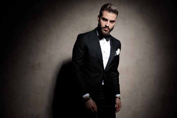 sexy young fashion model in tuxedo posing in a fashion light - 写真・画像