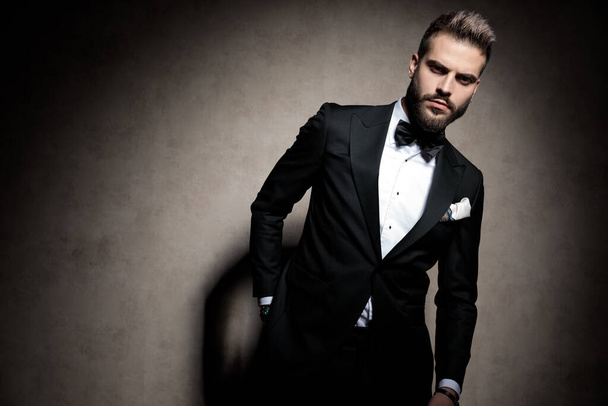 dramatic elegant young model in tuxedo posing in a fashion light - Photo, Image