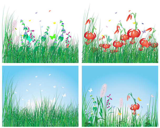 Color set of grass backgrounds - Vector, Image