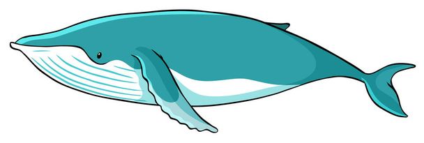 Синий кит на белом фоне
 - Вектор,изображение