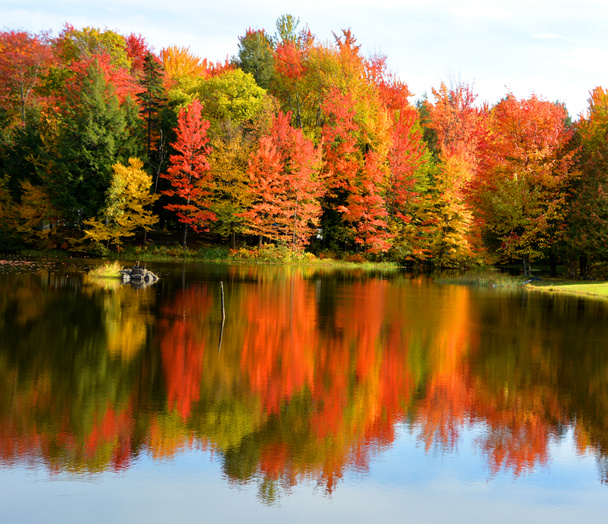 όμορφο φθινοπωρινό τοπίο με λίμνη και πολύχρωμα δέντρα  - Φωτογραφία, εικόνα
