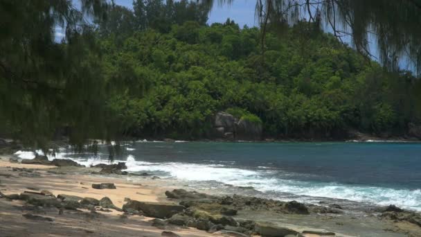 Ocean waves granite rocks and pines Petite Police Beach Mahe Island Seychelles. - Footage, Video