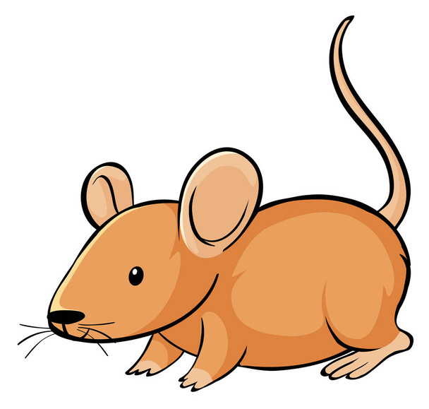 Оранжевая мышь на белом фоне
 - Вектор,изображение