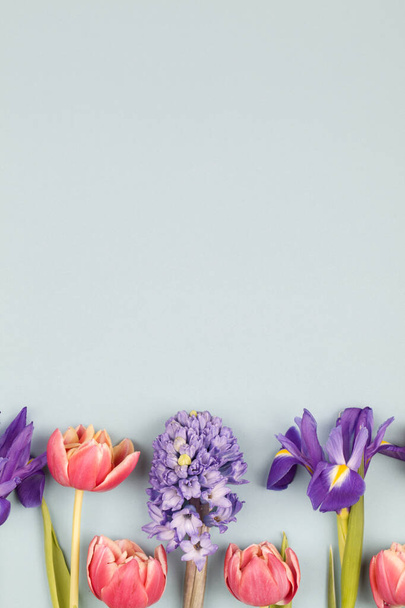 Piękne wiosenne kwiaty. czerwone tulipany, fioletowe tęczówki i hiacynt na niebieskim tle - Zdjęcie, obraz