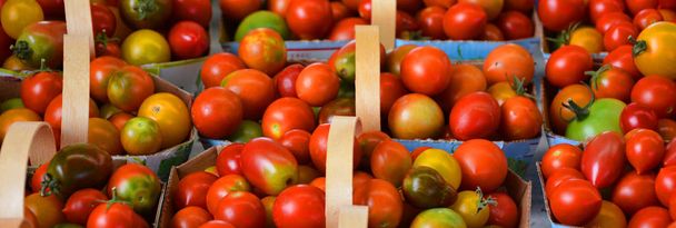 čerstvá rajčata na trhu zavřít - Fotografie, Obrázek