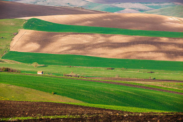Rolling hills in spring. Agricultural farmland. - Photo, Image