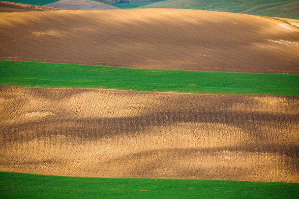 Rolling hills in spring. Agricultural farmland. - Фото, зображення