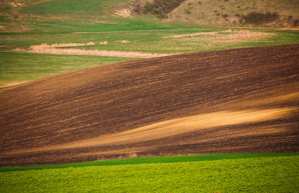 Rolling hills in spring. Agricultural farmland. - Fotó, kép