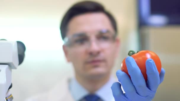 Laboratory workers examining fruits and vegetables and making analysis for pesticides and nitrates. - Materiał filmowy, wideo