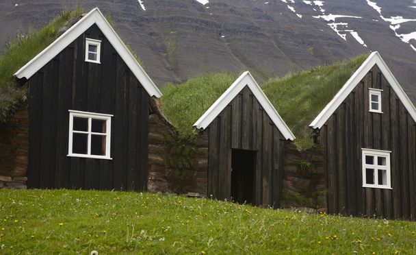 Iceland. Traditional icelandic wooden houses. North Iceland. - 写真・画像