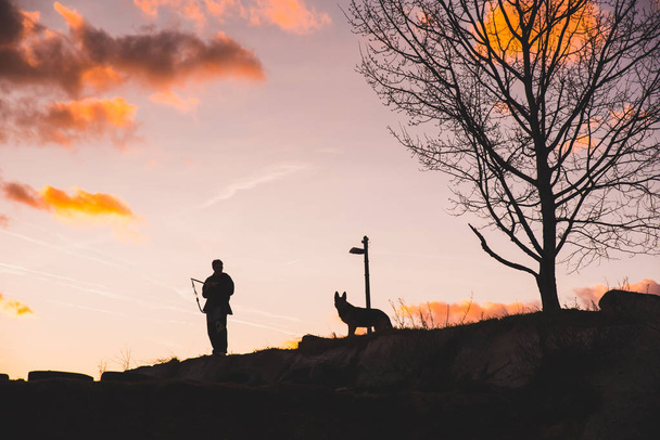 Силует люди ходять з собакою на заході сонця
 - Фото, зображення