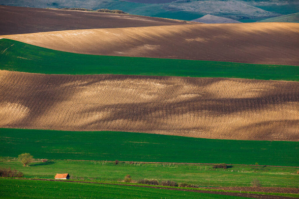 Rolling hills in spring. Agricultural farmland.  - Фото, изображение