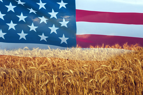 Double exposure with the american flag and beautiful natural wheat.  - Fotografie, Obrázek