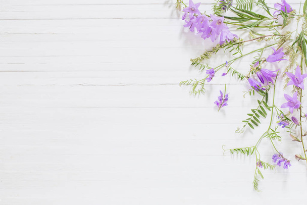 bellflower on white wooden background - Photo, Image