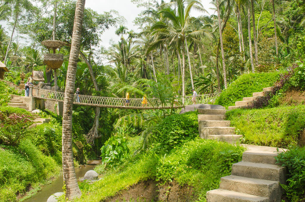 Tegallalang Rice Terrace στο νησί Μπαλί - Φωτογραφία, εικόνα