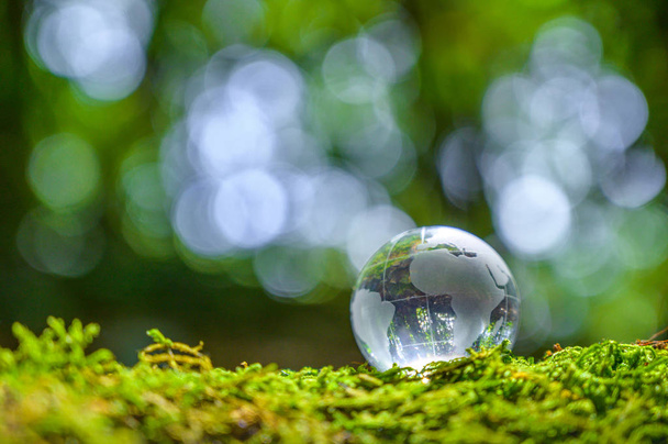 Concept Save the world save environment The world is in the grass of the green bokeh background - Photo, Image