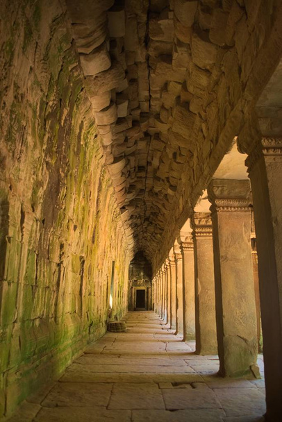 Ta Prohm tapınağının kalıntıları, Siem Reap, Kamboçya yakınlarındaki Angkor Wat kompleksinde yer alıyor.. - Fotoğraf, Görsel
