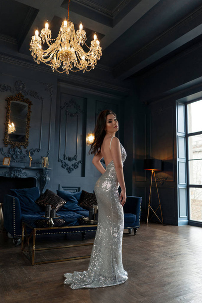 Sexy Brünette mit Make-up im silbernen Abendkleid posiert tief - Foto, Bild