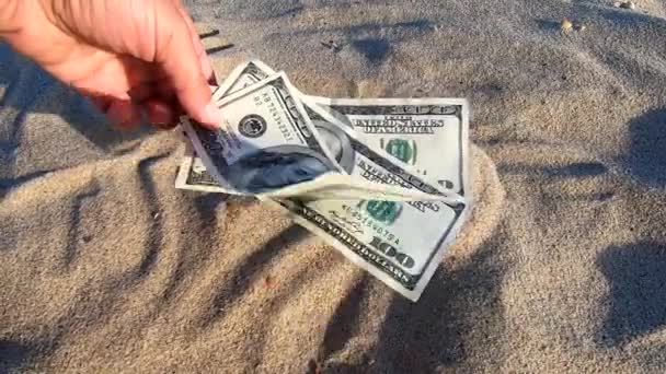 Girl holding money bill of 300 dollars on background of sandy beach - Πλάνα, βίντεο