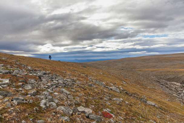 Muž batoh turisty na Kungsanu stezka obdivuje přírodu Sarek ve Švédsku Laponsko s horami, řekami a jezery, břízy a smrkové stromy lesy. Časné podzimní barvy v bouřlivém počasí - Fotografie, Obrázek