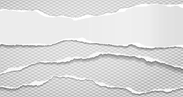 Des morceaux arrachés et déchirés de papier horizontal bleu et blanc avec une ombre douce sont sur fond carré gris pour le texte. Illustration vectorielle
 - Vecteur, image