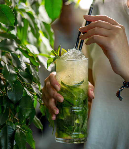 traditional mojito with ice and mint - Foto, Imagem