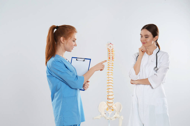 Professional orthopedist with human spine model teaching medical - Foto, immagini