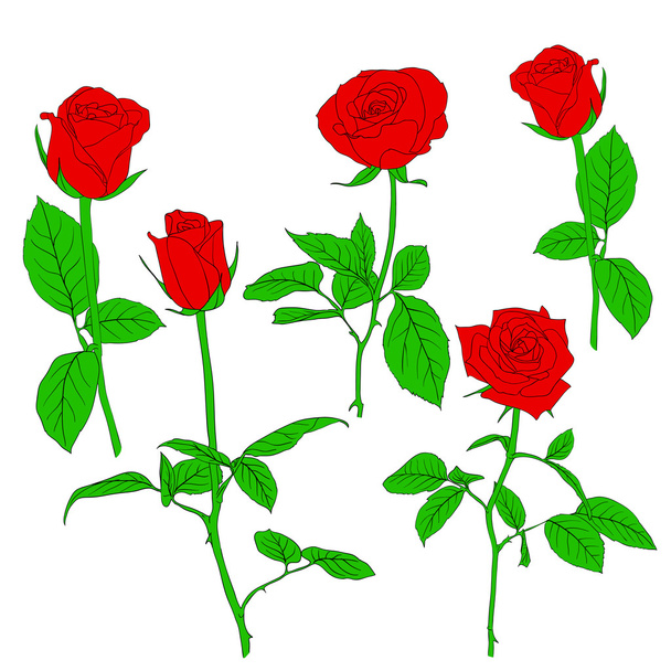 Conjunto de rosas em estilo desenhado à mão
. - Vetor, Imagem