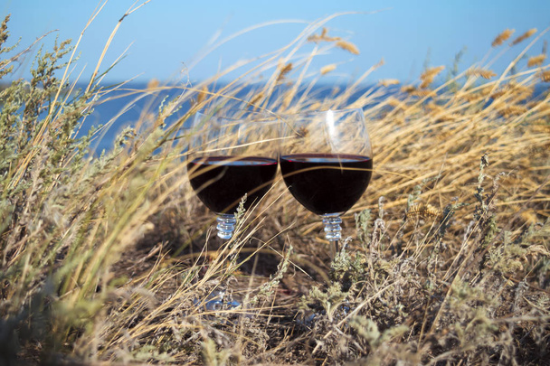 Two glasses of red wine in dry grass at Dnipro river bay background, the clay mountains of Stanislav - Photo, Image