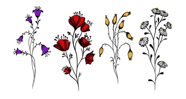 Ein Satz Wildblumen. Vektorillustration - Vektor, Bild