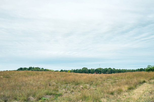 Prairies ondulées avec rangée d'arbres à l'horizon sous un ciel nuageux
. - Photo, image