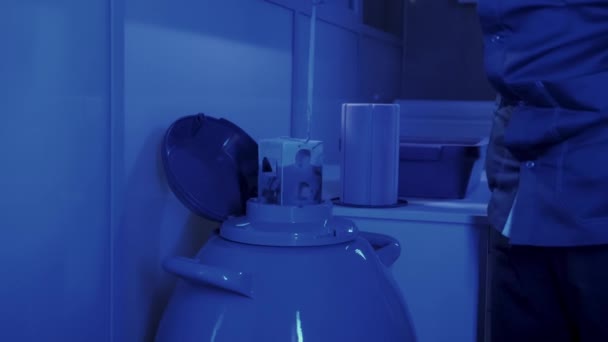 Specjalista embriolog bierze kapsułkę z embrionami z Cryobank - Materiał filmowy, wideo