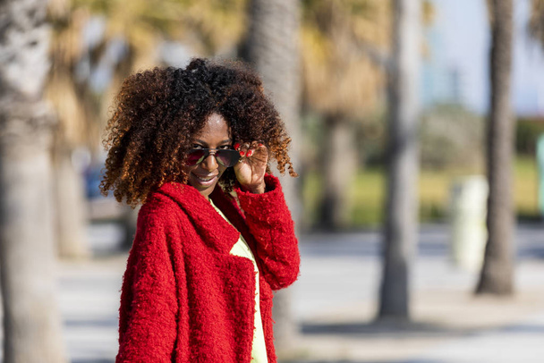 Güneşli bir günde sokakta duran güzel bir Afro-Amerikan kadının portresi. - Fotoğraf, Görsel