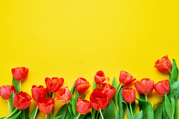Granica czerwonych tulipanów na żółtym tle. Piękna kartka z życzeniami. Koncepcja świąt. Kopiuj miejsce na tekst, widok z góry.  - Zdjęcie, obraz