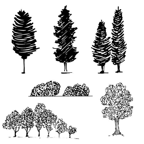 Σιλουέτες δέντρων, καλλιέργειες κήπων, πάρκο, ασπρόμαυρο διάνυσμα - Διάνυσμα, εικόνα