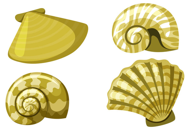 Set of isolated set of seashells in yellow color - Vector, Image