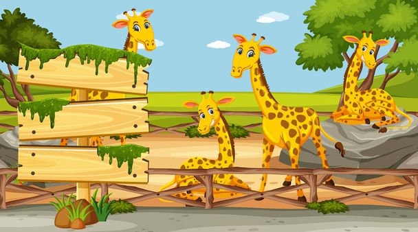 Modelo de sinal de madeira com quatro girafas no parque
 - Vetor, Imagem