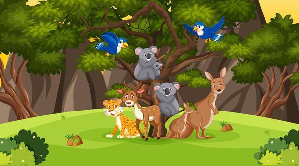 Сцена со многими дикими животными в лесу
 - Вектор,изображение