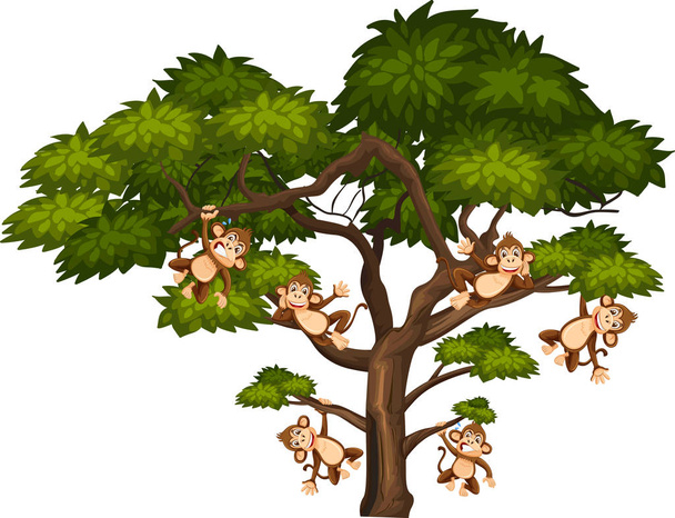 Árvore grande e macacos no fundo branco
 - Vetor, Imagem
