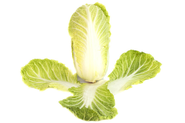 Fresh Chinese cabbage From the garden on white - Photo, Image