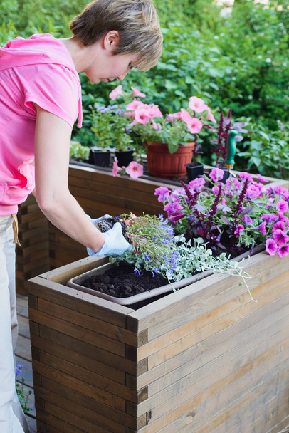 jardinero plantas flores en maceta contenedor de madera
 - Foto, imagen