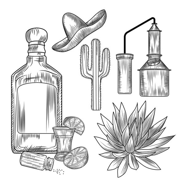 Sada tequily. Sklenice a láhev tequila, sůl, vápno, modrý agave, měděná krychle, sombrero, kaktus. - Vektor, obrázek