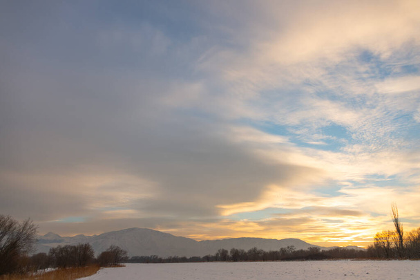 Paisagem de inverno com árvores nuas congeladas em um campo agrícola descascado coberto com grama amarela seca congelada sob um céu azul durante o pôr do sol
 - Foto, Imagem