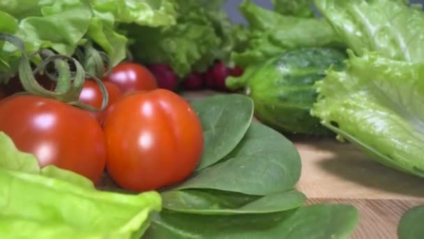 Dolly Schuss von selbst angebautem und geerntetem Gemüse auf hölzernem Tischhintergrund. Durch frischen Salat, Salat, Tomaten, Rettich, Spinat und Gurken gleiten. Gesunder Lebensstil - Filmmaterial, Video