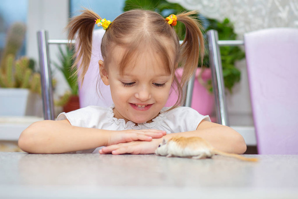 Ένα λευκό κοριτσάκι παίζει σ 'ένα τραπέζι μ' ένα χάμστερ. Η έννοια της επικοινωνίας των παιδιών με τα ζώα - Φωτογραφία, εικόνα