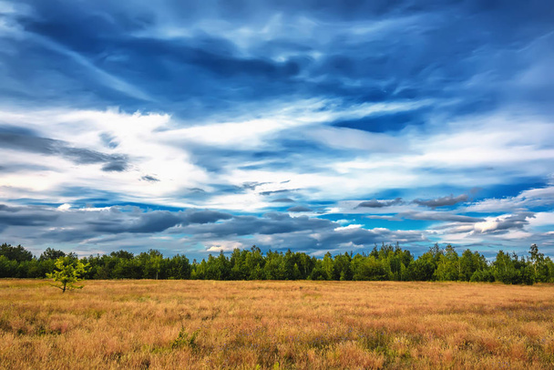 Rural landscape - blue sky with clouds at sunset over meadows and forest. - Fotografie, Obrázek