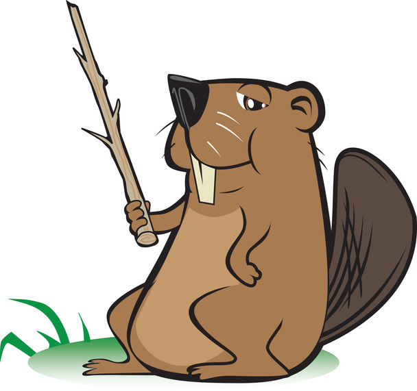 Beaver with Pointer Stick - Vector, Image