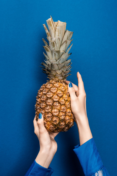 cropped view of woman holding tasty and whole pineapple on blue background  - Foto, Imagen