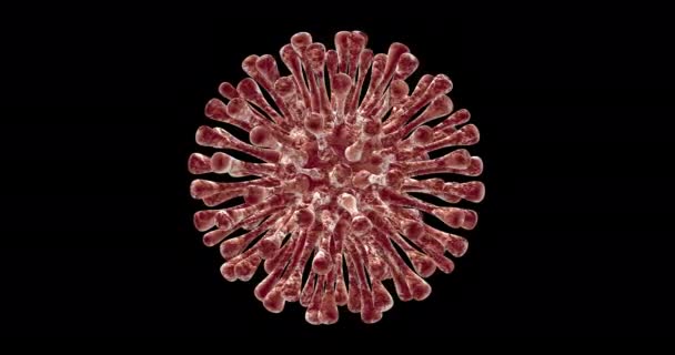 Coronavirus molecule turning. Loop - Footage, Video