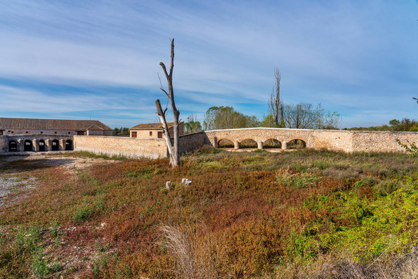 Tablas de Daimiel Nemzeti Park, Castilla la Mancha, Spanyolország - Fotó, kép